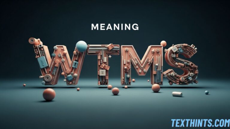 WTMS Meaning in Text: A Complete Guide to Modern Slang